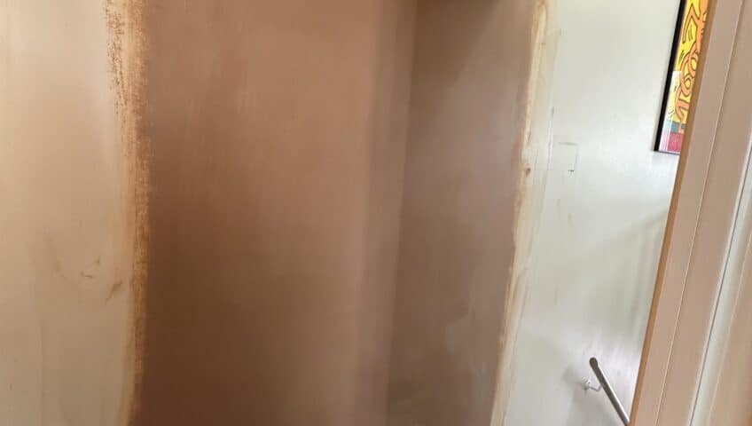 Plaster Repair